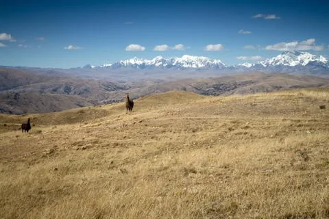 Panoramic view of spectacular high mountains, Cordillera, Andes, Peru, Clear  Stock Photos