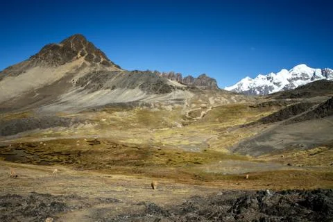 Panoramic view of spectacular high mountains, Cordillera, Andes, Peru, Clear  Stock Photos