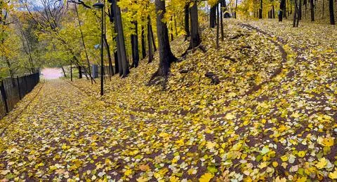 Panoramic view of a steep path in autumn park Stock Photos