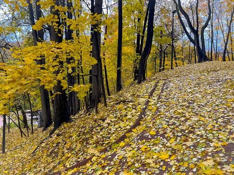 Panoramic view of a steep path in autumn park Stock Photos