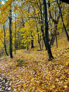 Panoramic view of a steep path in autumn park Stock Photos