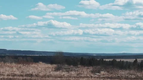 Panoramic view of the steppe and blue sky with clouds Stock Footage 91524271