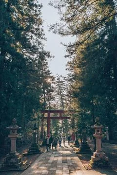 Japanese Zen Garden With Bonsai And Traditional Stone Lantern