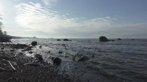 Panoramic view of the stony coast of the Gulf of Finland in sunny summer day Stock Footage 99547142