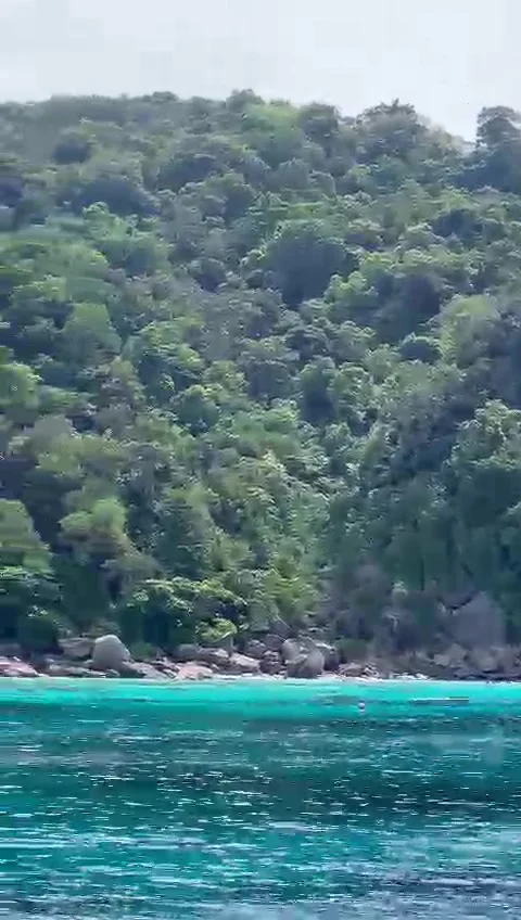 Panoramic view story of the simians islands sunny day blue water Thailand  Stock Footage 246353079