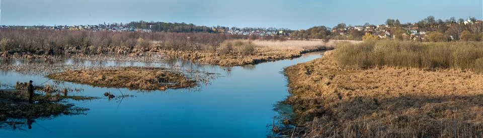 Panoramic view of the stream flowing through the reeds in early spring - in t Stock Photos