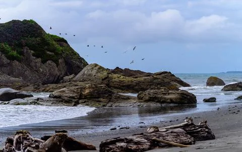 Panoramic view in the summer of the epic ocean shore in the Olympic Nationa.. 스톡 사진