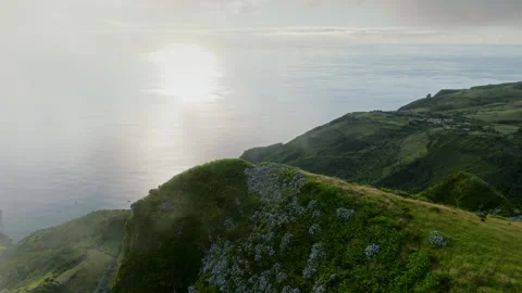 Panoramic View of Sun-Drenched Coastal Hills and Hydrangea Fields Overlooking 库存影片 336262885