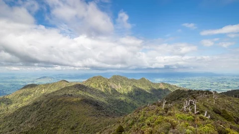 Panoramic view of sunny nature with forest and clouds in New Zealand Time lapse Stock Footage 105301634