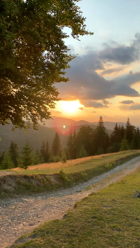Panoramic view sunset about carpathian mountain in Ukraine Stock-Footage 220251449