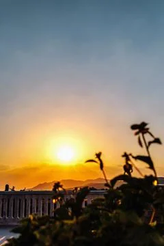 Panoramic view of sunset from the balcony, tree and flowers silhouette, bac.. Stock Photos