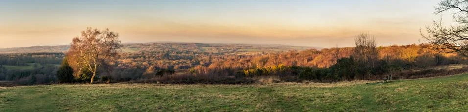 Panoramic view of sunset over the Ashdown Forest in Sussex, England, UK Foto stock