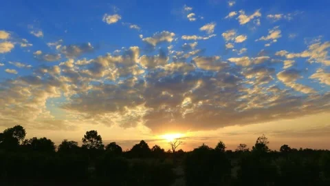 Panoramic View of Sunset with Silhouetted Trees and Dramatic Sky 動画素材 311530741