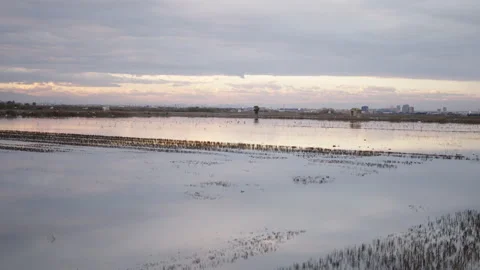 Panoramic view of sunset in some beautiful rice fields in Valencia Stock Footage 280276183