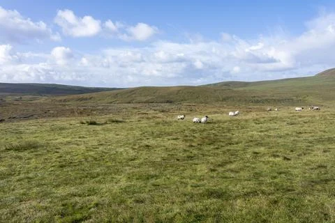A panoramic view of the surroundings of the Cleggans Cliffs in Ireland. Stock Photos