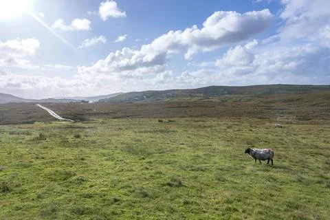 A panoramic view of the surroundings of the Cleggans Cliffs in Ireland. Stock Photos