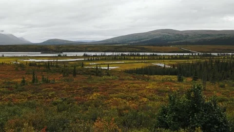 Panoramic view of the Susitna River on the Denali Highway in central Alaska. 库存影片 153161134