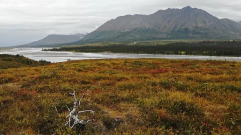 Panoramic view of the Susitna River on the Denali Highway in central Alaska. Video stock 153161203