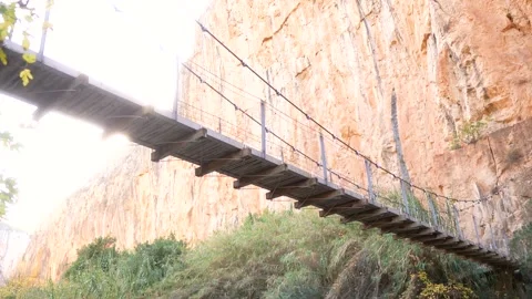	Panoramic view of suspension bridge seen from below Stock Footage 262962708