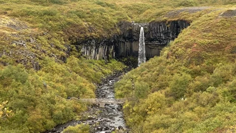 Panoramic view of Svartifoss waterfall and basalt columns in Vatnajokull Stock Footage 346645651