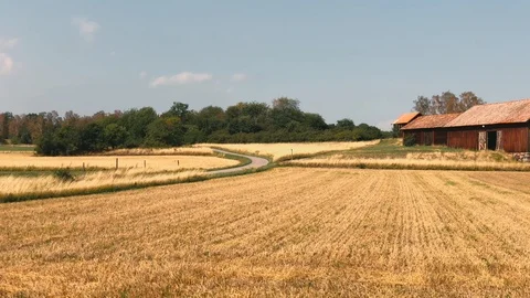 Panoramic View of a Swedish Red Farm House Видео 122376941
