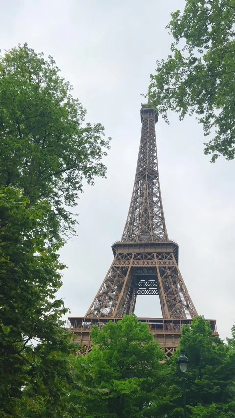 Panoramic view of tall trees with lush green crown and Eiffel Tower, Paris. Stock Footage 311943751