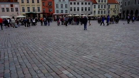 Panoramic view of Tallinn old town and town Hall Square in summer, Estonia Video stock 126573603