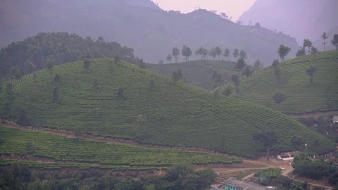 Panoramic view of tea plantation small village at blue hour munnar kerala ind Stock Footage 106373503