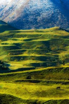 Panoramic view of the terraced fields of Dagestan, Russia. Stock Photos