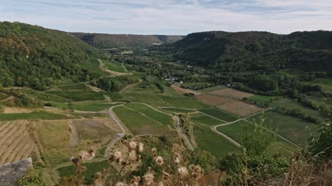 Panoramic View of Terraced Vineyards and Valley - Chateau-Chalon, France 库存影片 344449161