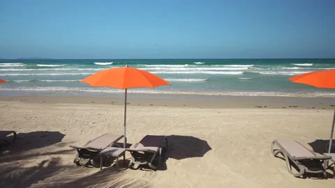 Panoramic view through the palm leaves to the beach with sun loungers and orange 스톡 동영상 227550147