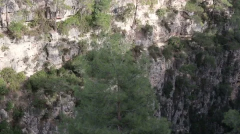 Panoramic view from the top of the canyon and mountain river Stock Footage 62515277