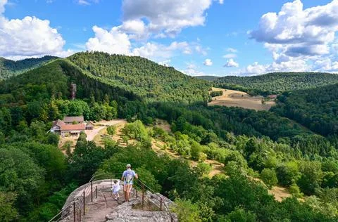 Panoramic view from the top of a castle Stock Photos