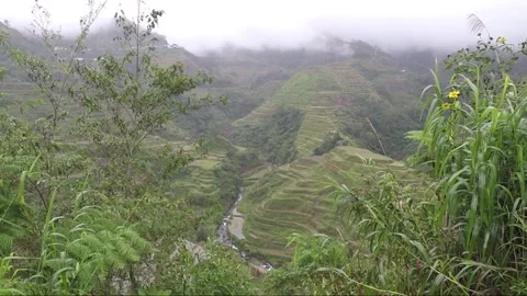 Panoramic view from the top of mountain in Banaue, Luzon, Philippines Stock Footage 145527832