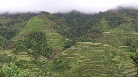 Panoramic view from the top of the mountain in Banaue, timelapse Stock Footage 145529097