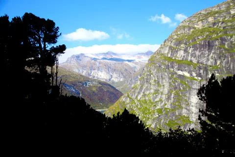 Panoramic view from the top of a mountain full of green vegetation. ecologica Stock Photos