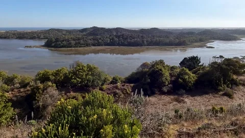 Panoramic View from Tower Hill Lookout  Volcanic Crater and Native Bushland.. Stock-Footage 312066481