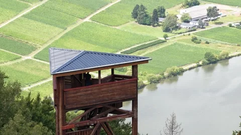 Panoramic view tower over the Moselle river and valley, filled with vineyards Stock Footage 319386033