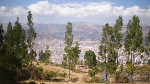 Panoramic view of trees, city and mountains Stock Footage 293094768