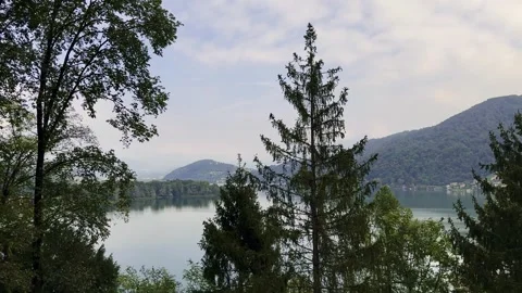 Panoramic View with Treetop over Lake Lugano and Mountain with Village Stock Footage 265486182