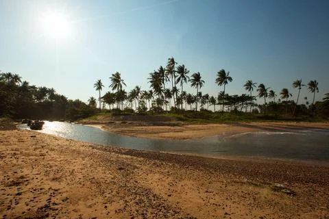 Panoramic view of tropical beach with coconut palm trees. Koh Samui, Thailand Stock Photos
