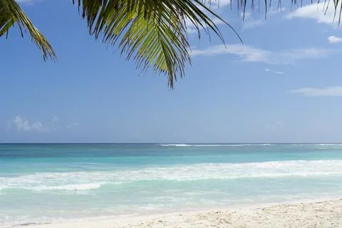 Panoramic view of a tropical beach Stock Photos
