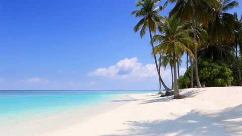 Panoramic view of a tropical beach in th Maldives 库存影片 124063999