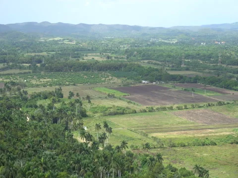 Panoramic view of the tropical valley with fields and hills at summer sun Stock Footage 71539831
