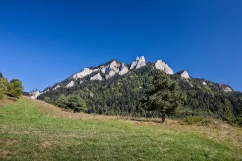 Panoramic View of Trzy Korony Summit from Meadow Field Stock Photos