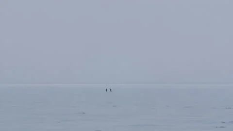 Panoramic view two people walking across the snow-covered Baltic sea 스톡 동영상 171309012