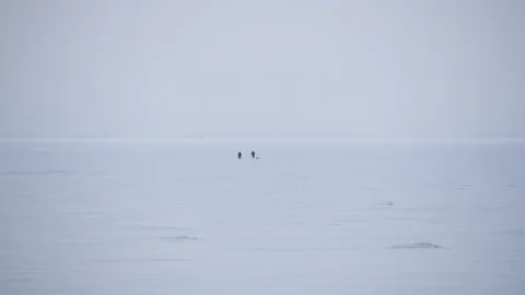 Panoramic view two people walking across the snow-covered Baltic sea 스톡 동영상 171309290