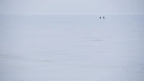 Panoramic view two people walking across the snow-covered Baltic sea 스톡 동영상 171309389