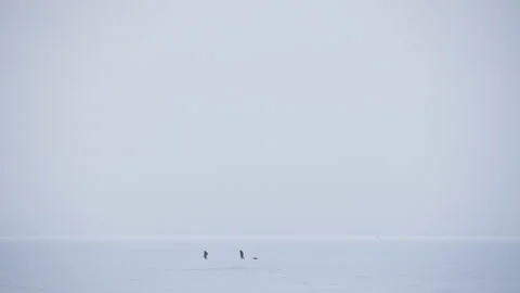 Panoramic view two people walking across the snow-covered Baltic sea 스톡 동영상 171309652