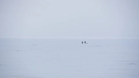 Panoramic view two people walking across the snow-covered Baltic sea 스톡 동영상 171309966